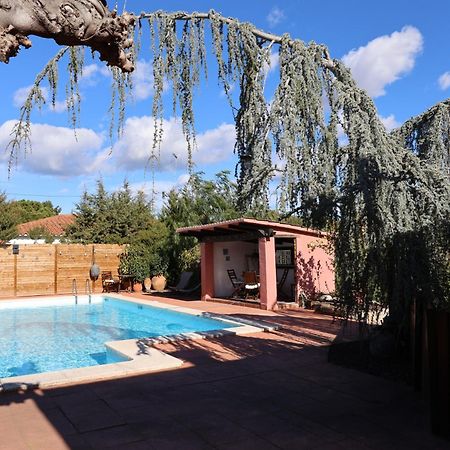 El Cedre Blau Vivienda Con Piscina En Granollers Villa ภายนอก รูปภาพ